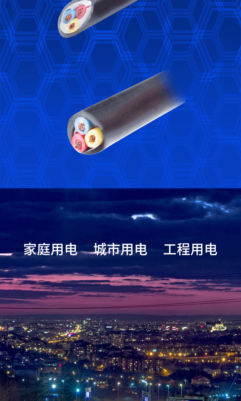 電源線(圖4)