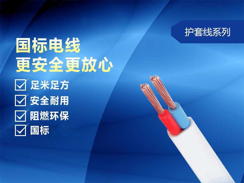 RVV護套線