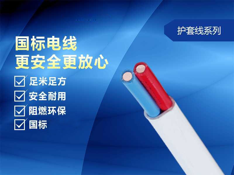 BVV護套線